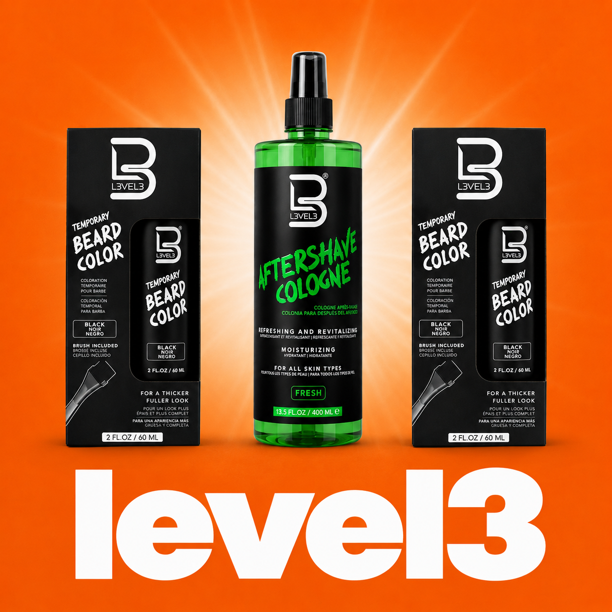 LEVEL 3