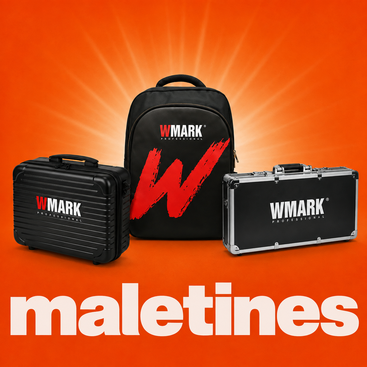 BOLSOS Y MALETINES