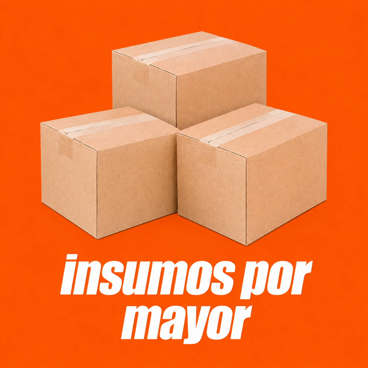 INSUMOS X MAYOR